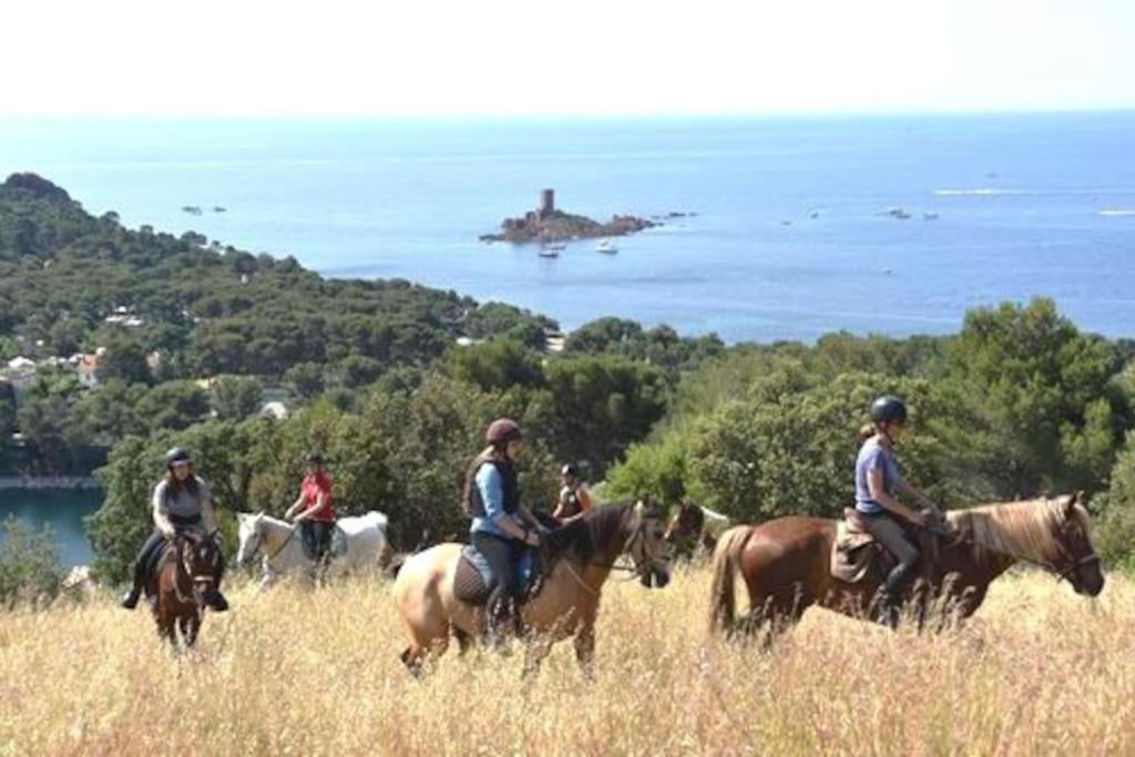 Dans Un Cadre D'Exception, Vue Mer Panoramique A Agay Cote D'Azur, Village Vacances Cap Esterel, T2 Avec Jardin, Golf, Climatisation, Wifi, 5 Piscines Saint-Raphael  Ngoại thất bức ảnh