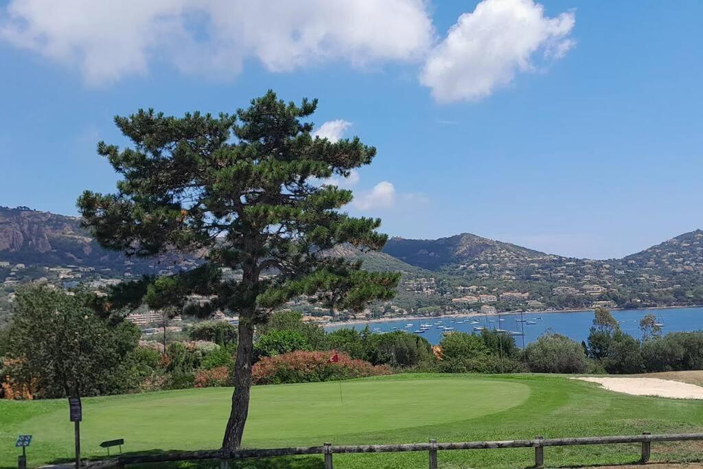 Dans Un Cadre D'Exception, Vue Mer Panoramique A Agay Cote D'Azur, Village Vacances Cap Esterel, T2 Avec Jardin, Golf, Climatisation, Wifi, 5 Piscines Saint-Raphael  Ngoại thất bức ảnh