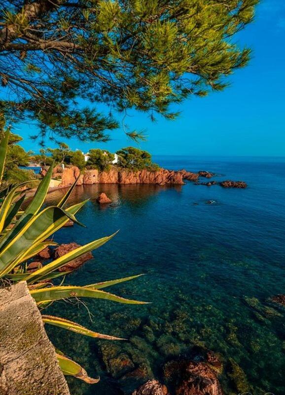 Dans Un Cadre D'Exception, Vue Mer Panoramique A Agay Cote D'Azur, Village Vacances Cap Esterel, T2 Avec Jardin, Golf, Climatisation, Wifi, 5 Piscines Saint-Raphael  Ngoại thất bức ảnh